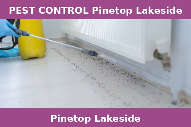 PEST CONTROL Pinetop Lakeside